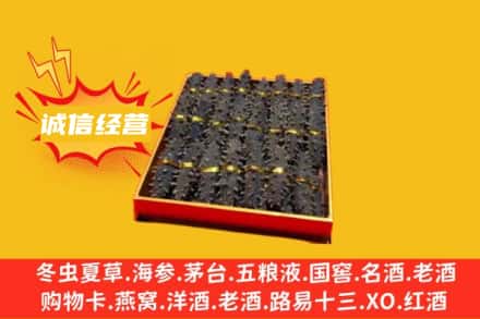 朝阳回收海参
