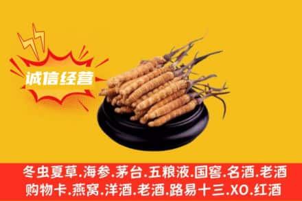 朝阳回收冬虫夏草